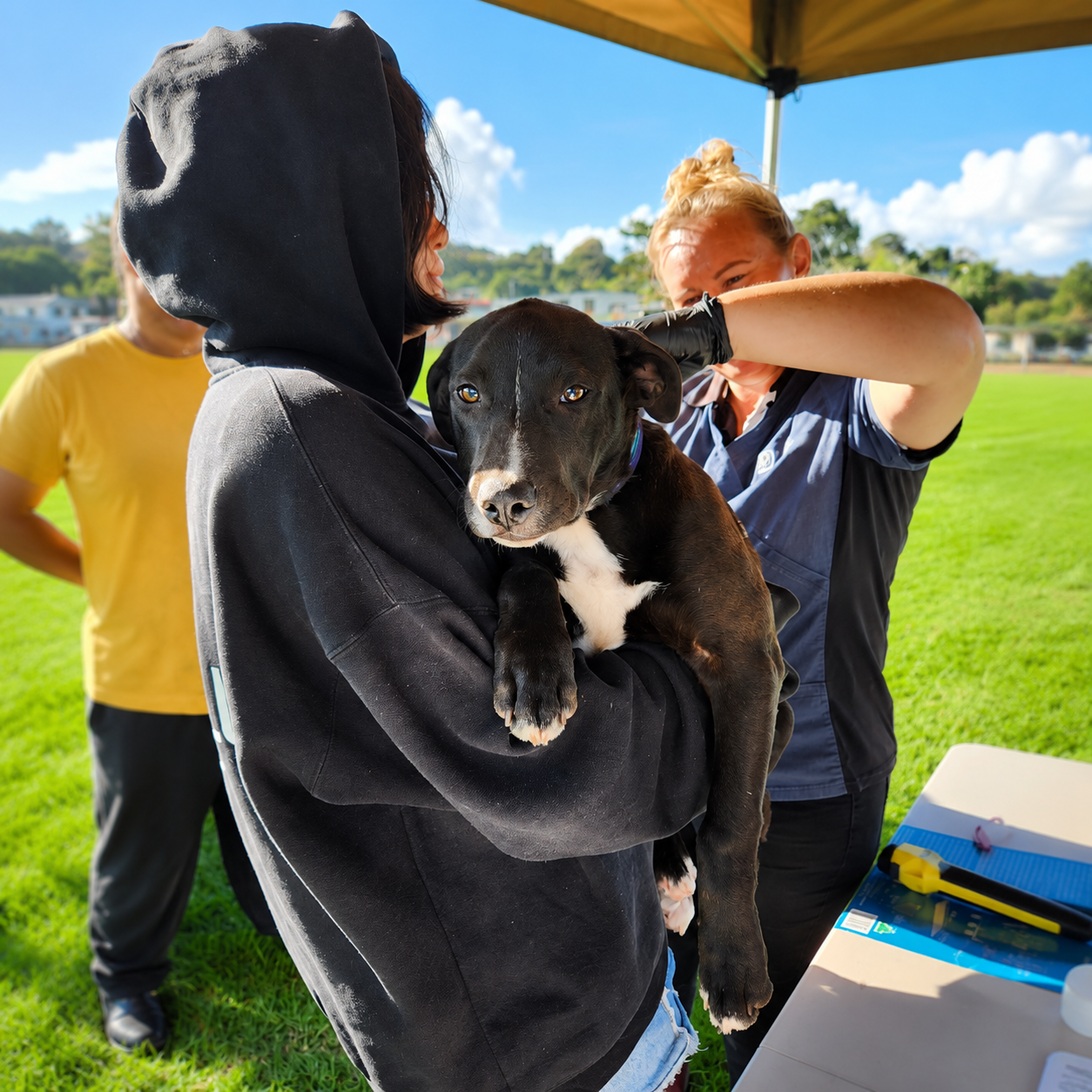 A Waikato dog with their person at a community clinic